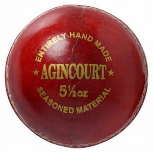 Gm Swingking Cricket Ball Choice Cricket